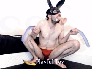 Playful_Toy