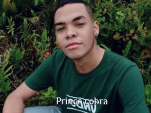 Prince_cobra