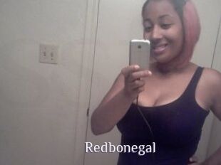 Redbonegal