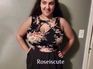 Roseiscute