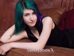 SandySnowX