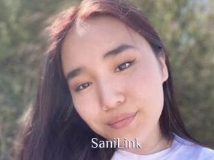 SaniLink