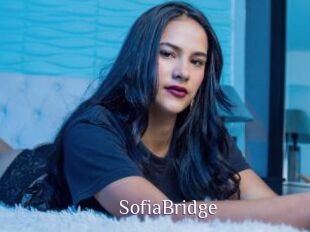 SofiaBridge