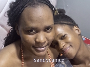 Sandycanice