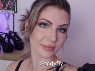 Sandyfly