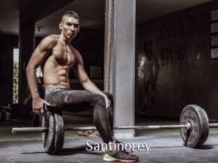 Santinorey