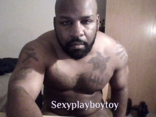 Sexyplayboytoy