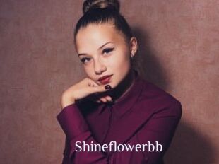 Shineflowerbb