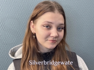 Silverbridgewate