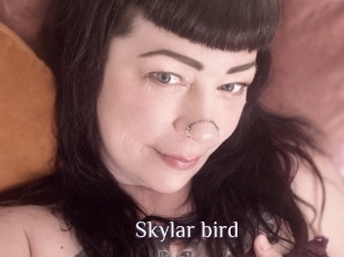 Skylar_bird