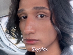 Skyyfox