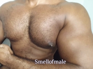 Smellofmale