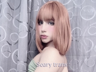 Soary_trans