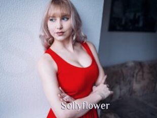 Sollyflower