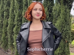 Sophicherrie