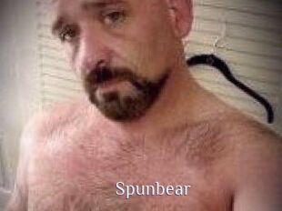 Spunbear