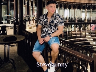 Stevebunny