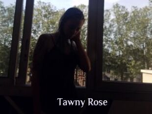 Tawny_Rose