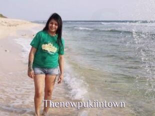 Thenewpukiintown