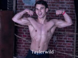 Taylerwild