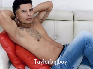 Taylorbigboy