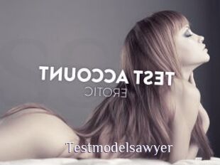 Testmodelsawyer