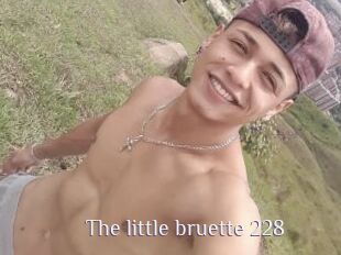 The_little_bruette_228