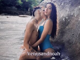 Venusandnoah