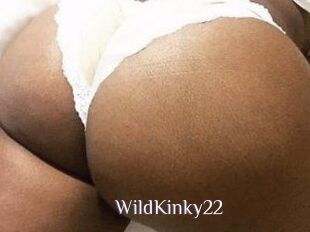 WildKinky22