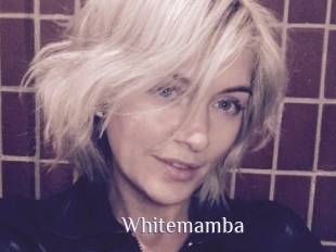 Whitemamba