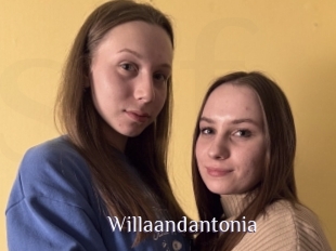 Willaandantonia