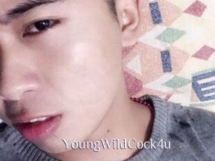 YoungWildCock4u