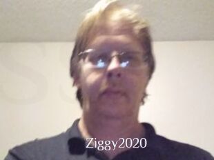 Ziggy2020