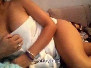 Zoeybird